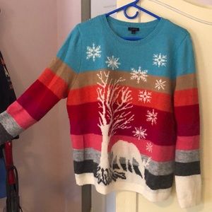 Talbots Winter Sweater